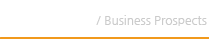 사업전망